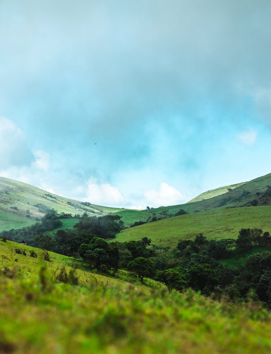 Zoe.js☠︎⥀ tweet media