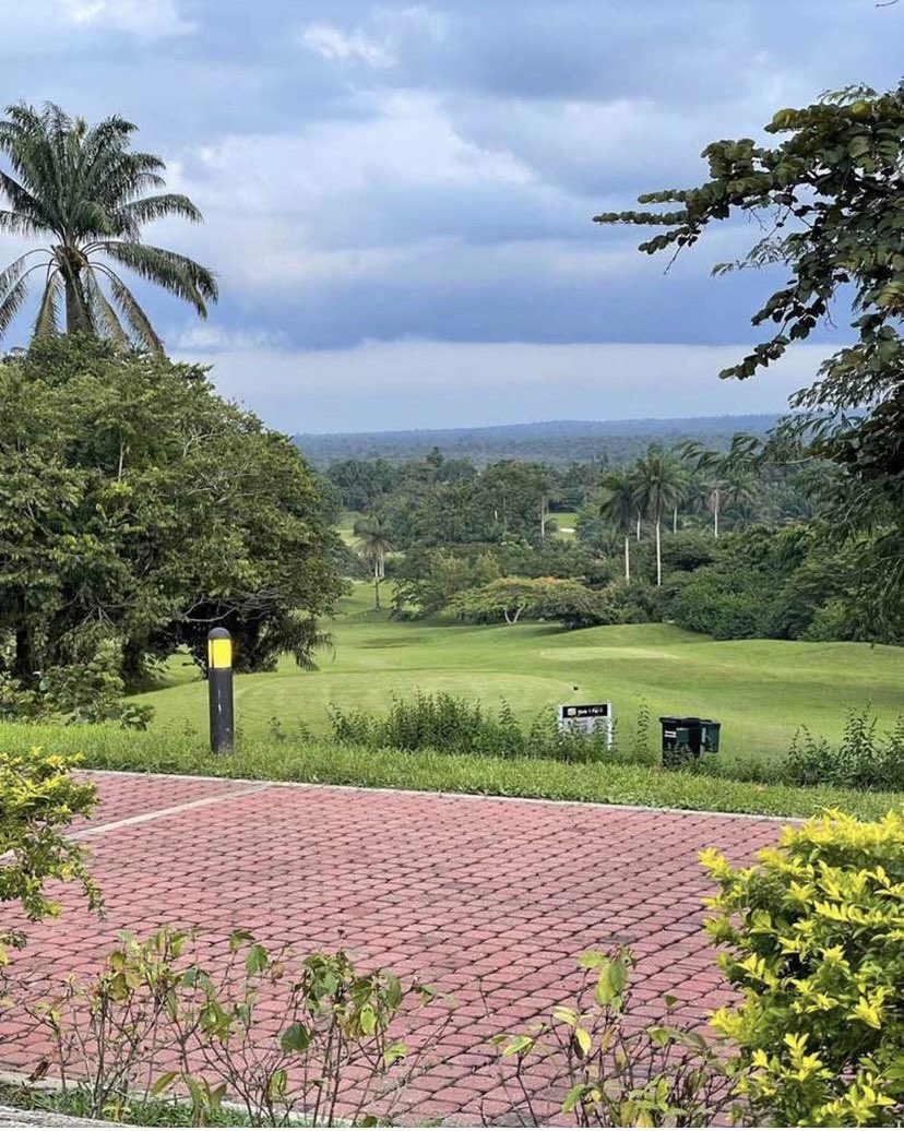 Zoe.js☠︎⥀ tweet media