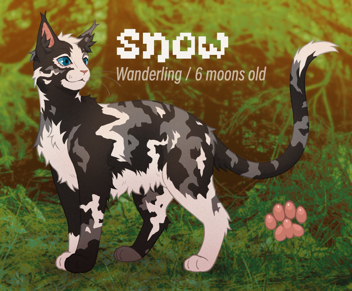 cola 🐾 tweet media