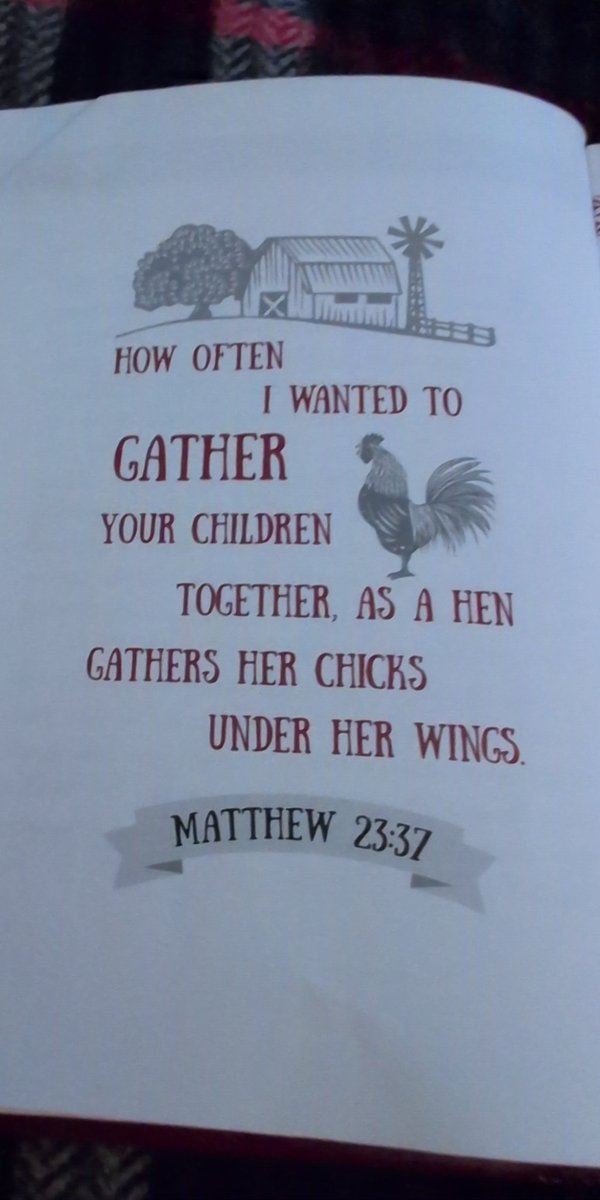 I AM MOSS tweet media