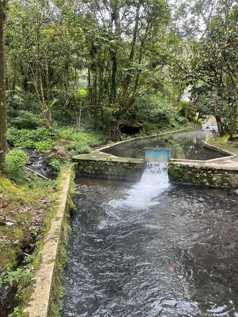 Sora Takeuchi tweet media