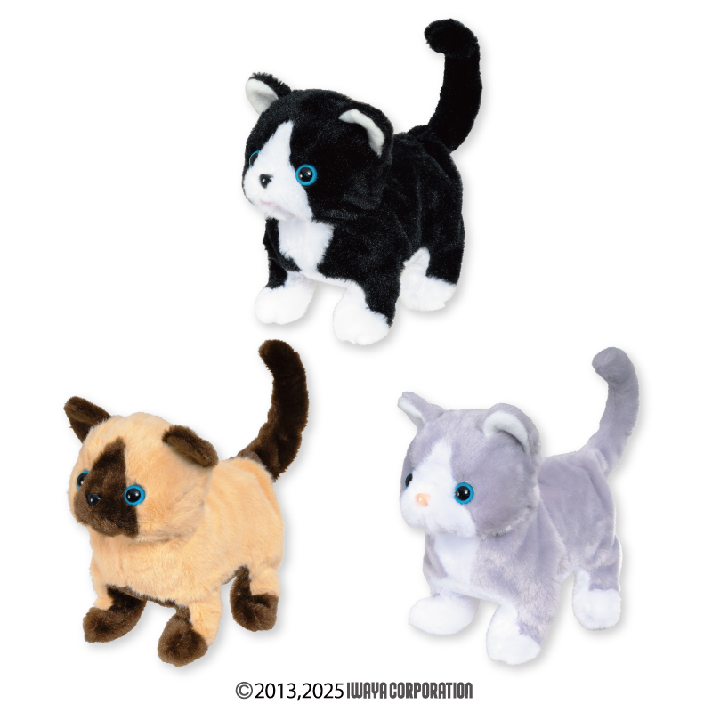 エイコープライズ公式アカウント tweet media