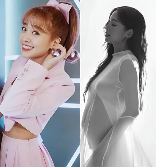 TusheNews（互fo 100%） tweet media