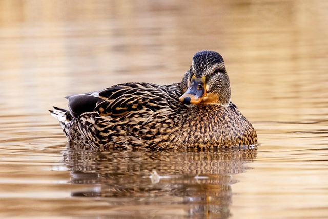 Cameron Erickson tweet media