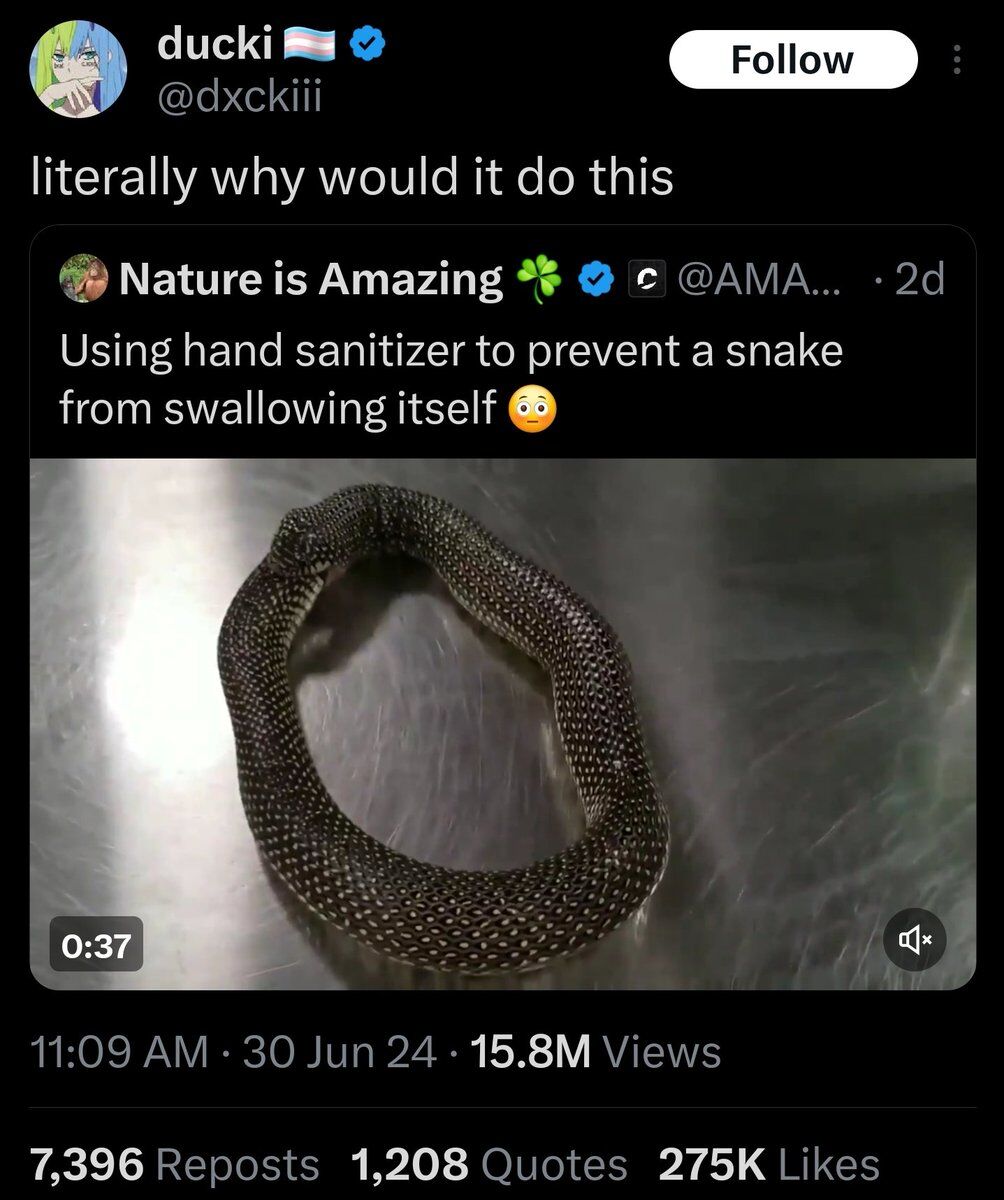 Insane Cope tweet media