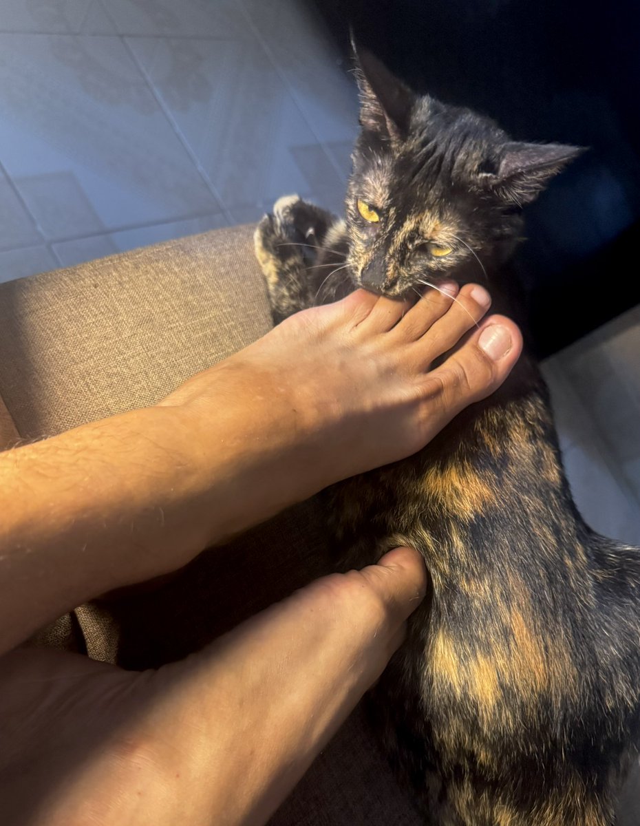 MXRealFeet's tweet photo. Creo que no soy el único que disfruta mis pies… 👣🐱😏
¿Tú qué opinas?  🔥

#malefeet #feet #feetfetish #latinfeet https://t.co/HjlFq1qb7X