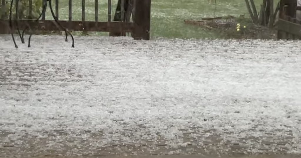 Josh Fitzpatrick ❄️ tweet media