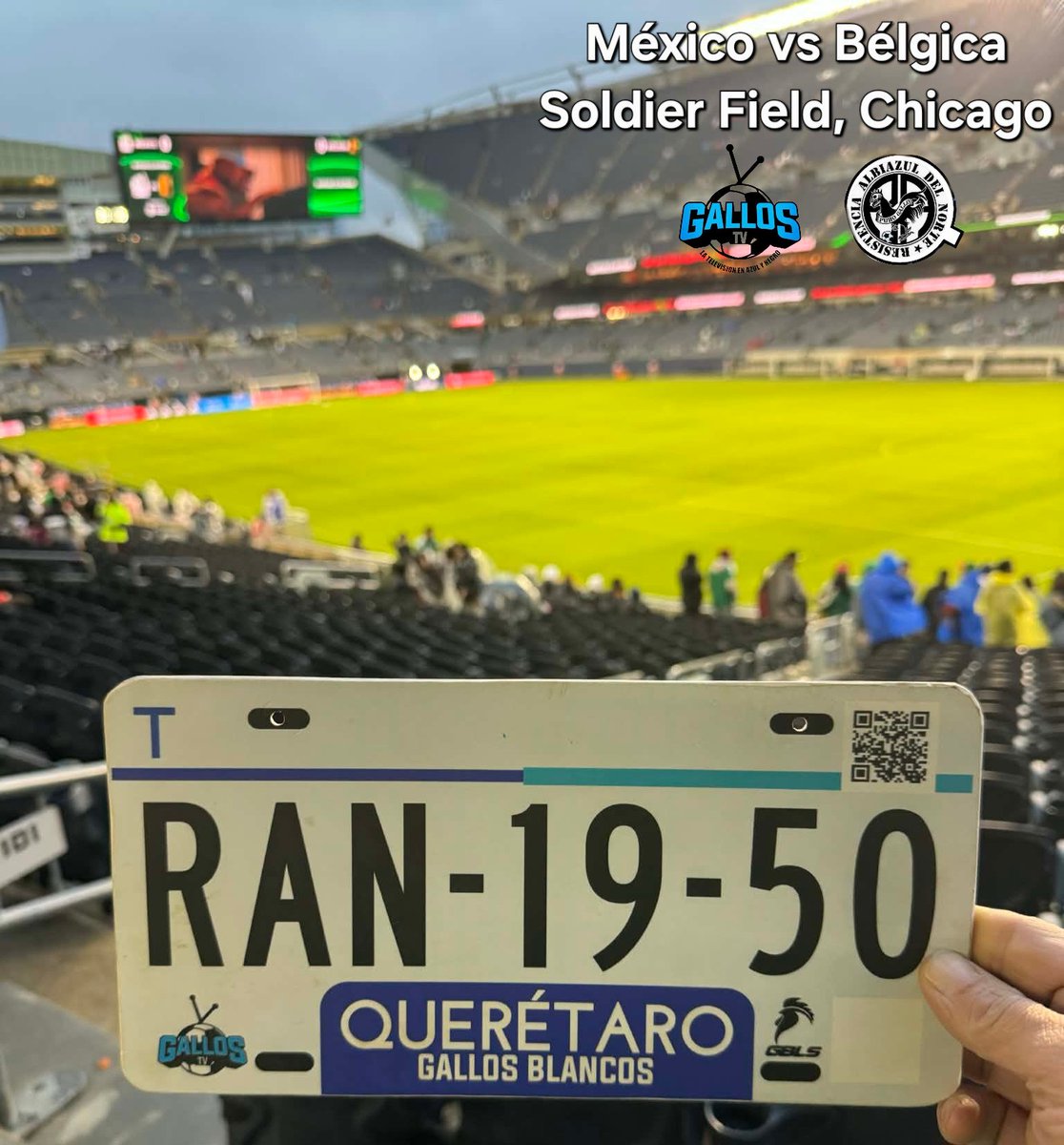 GallosTV tweet media