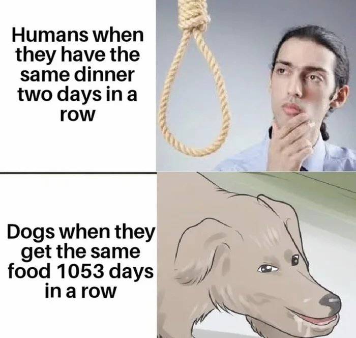 ShitpostGateway tweet media