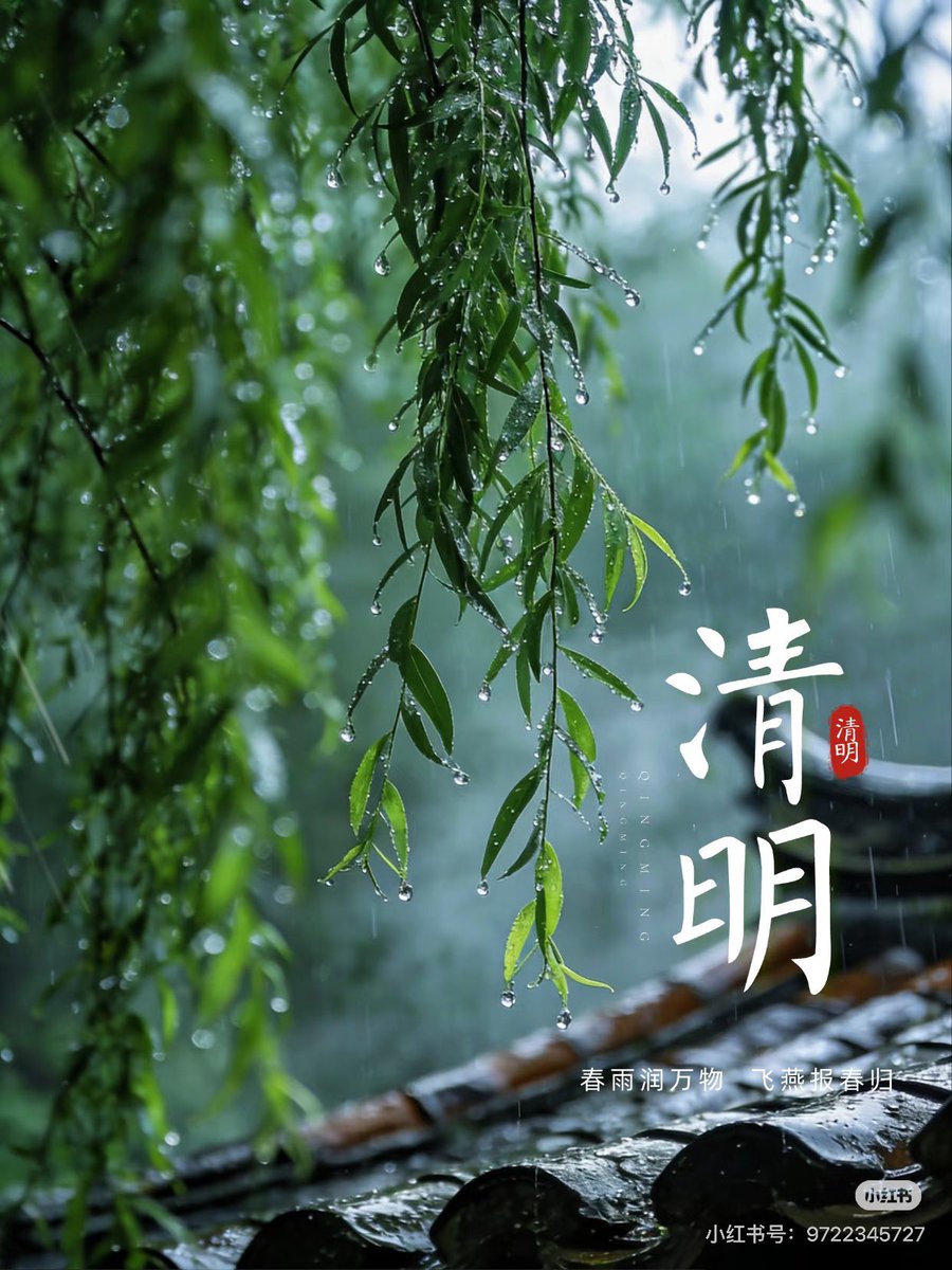 lsfo10's tweet photo. As spring unfolds, Qingming weaves memory and nature together. Sweep tombs with gentle hearts, walk through blooming fields, and let the fresh breeze carry our wishes for peace. A beautiful blend of sorrow and hope. #Qingming #SpringTradition #ChineseCulture https://t.co/womIAsR3JW