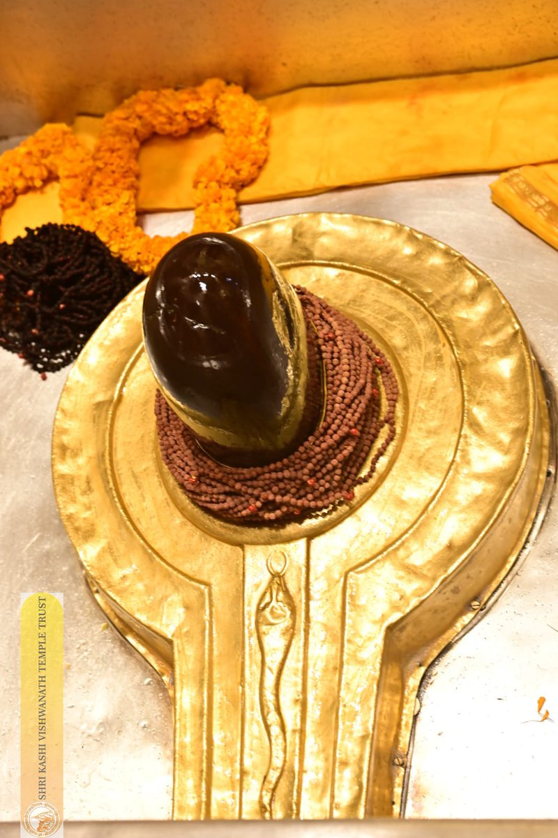 Shri Kashi Vishwanath Temple Trust tweet media
