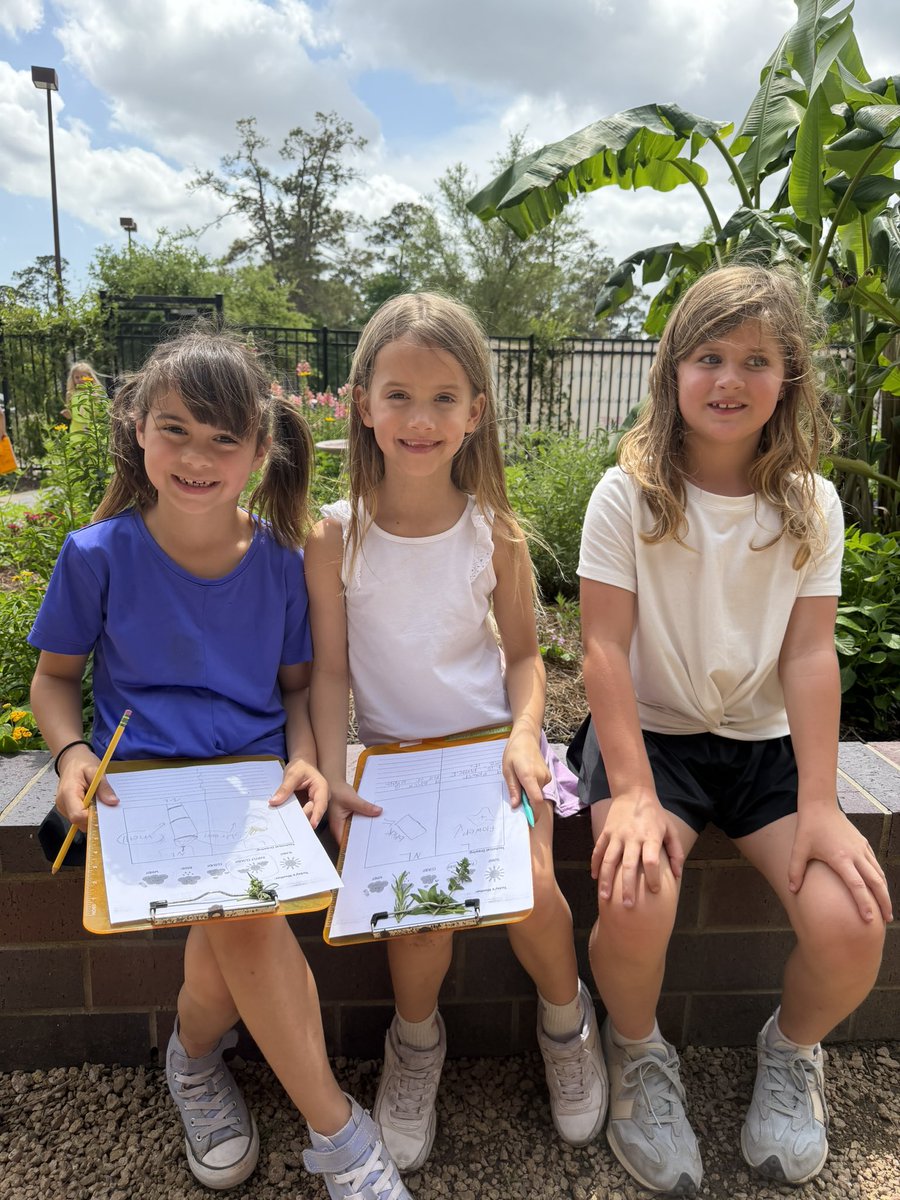 Celise Hamann tweet media