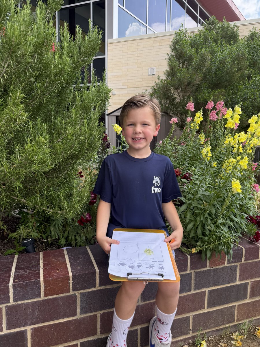 Celise Hamann tweet media