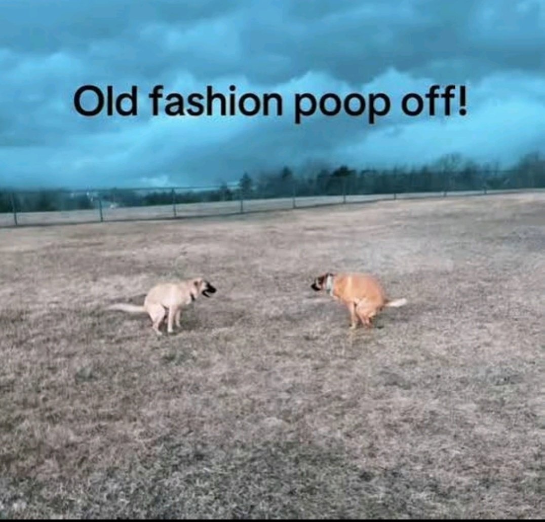 Bobby Eaton Da Pussy tweet media