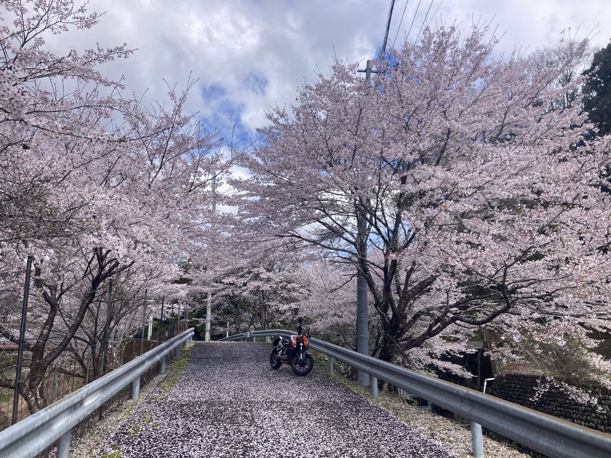 ラムラム西山 tweet media