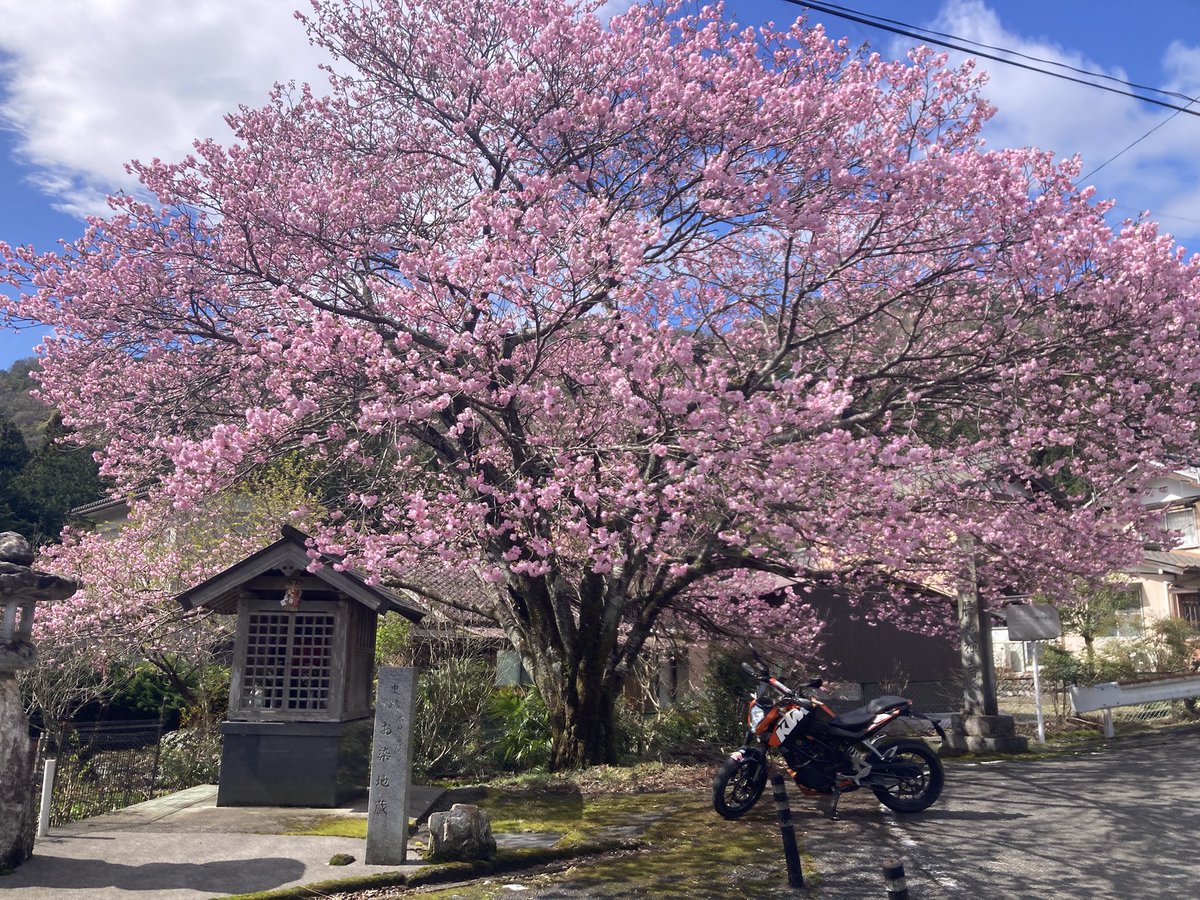 ラムラム西山 tweet media