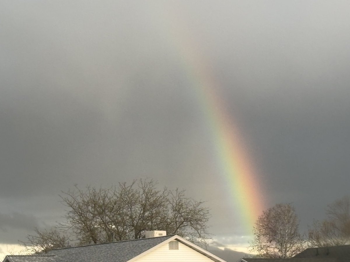 Ali-60 🐘🔴 【VFleet】 tweet media