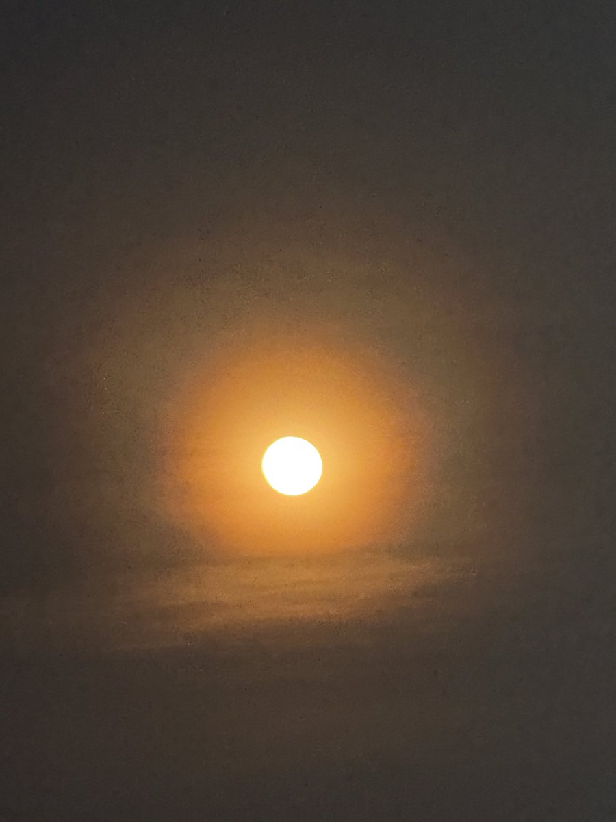 Kathleen Kleinbeck tweet media