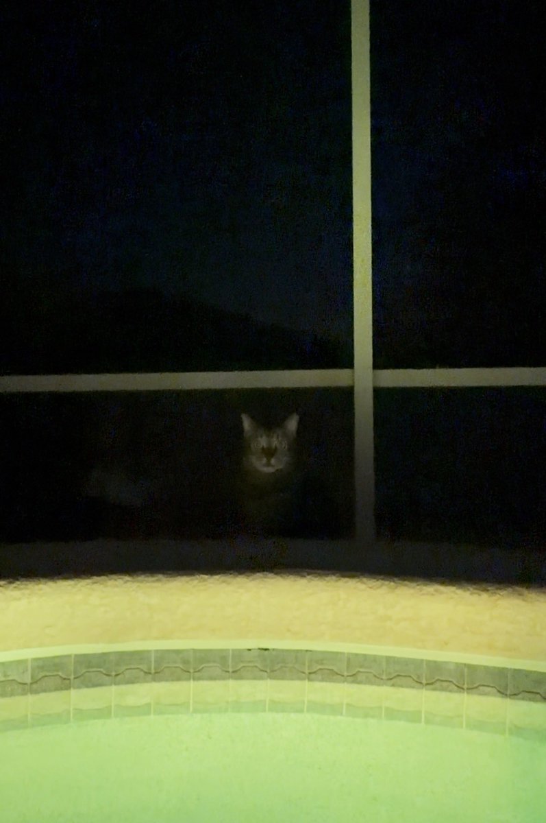 Cherry Crush 🍒 tweet media