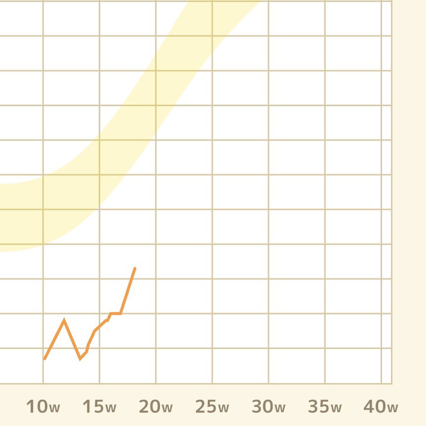 たまご🥚18w tweet media