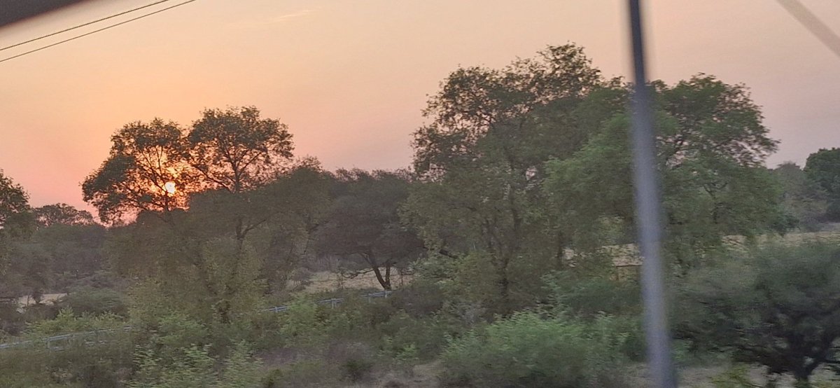Good morning to everyone 

The sun slips out quietly behind the trees...

Shot from a moving bus No 11

#Goodmorning
#theme_pic_india_sunrise  
#RoClicks