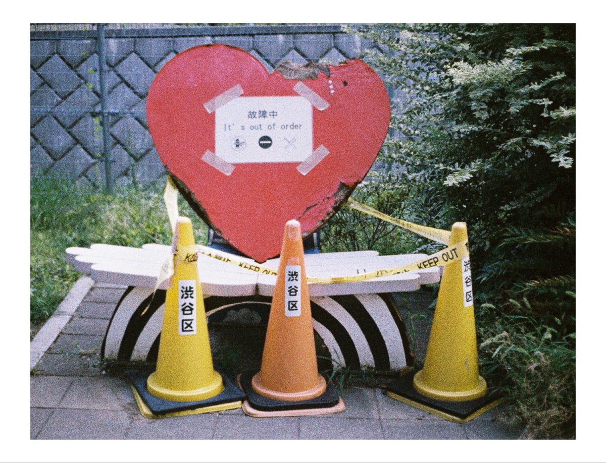 さち@写真垢 tweet media