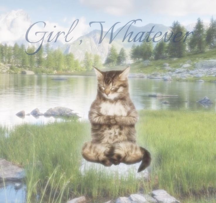 ❤︎ ˚̣̣̣ ˖ 𝄞ु tweet media