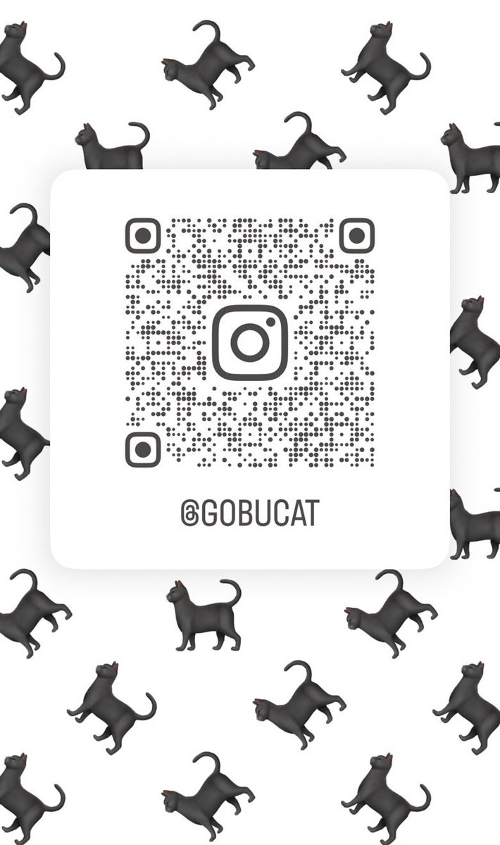Gobucat🐈‍⬛ tweet media