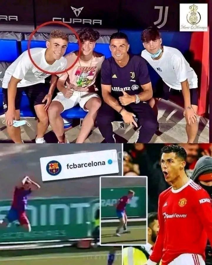 Bitchcelona Dogs Owner tweet media