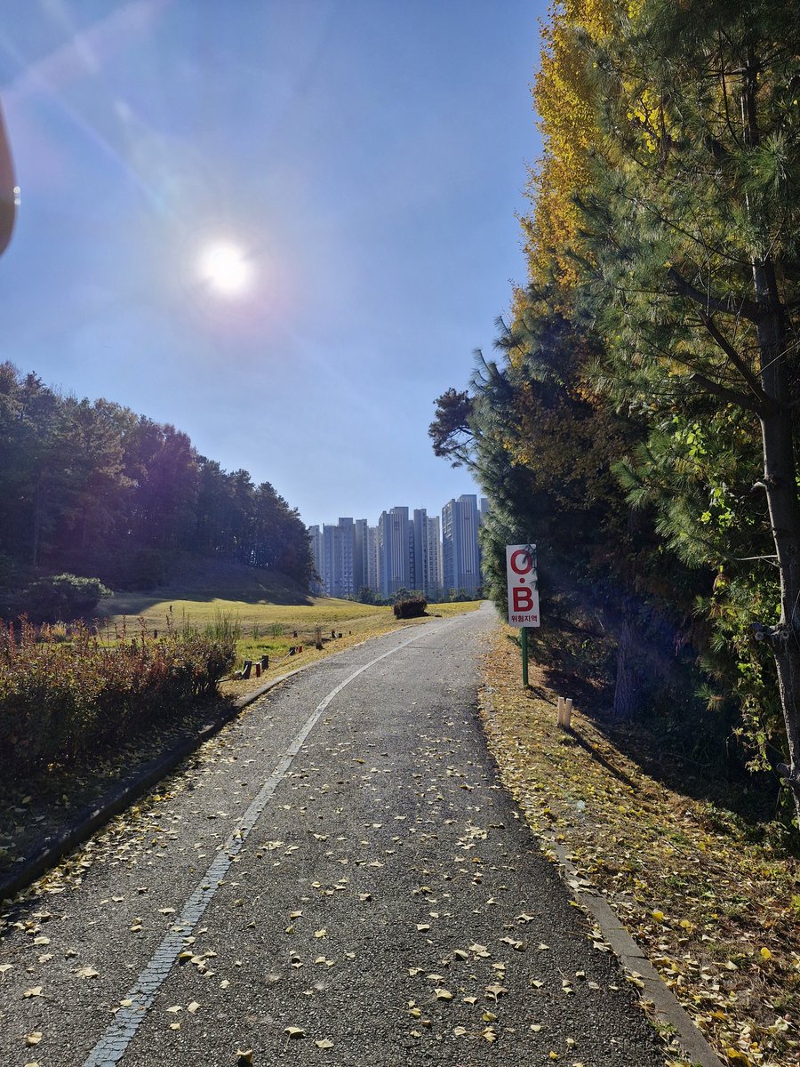 초코라떼 부부 tweet media