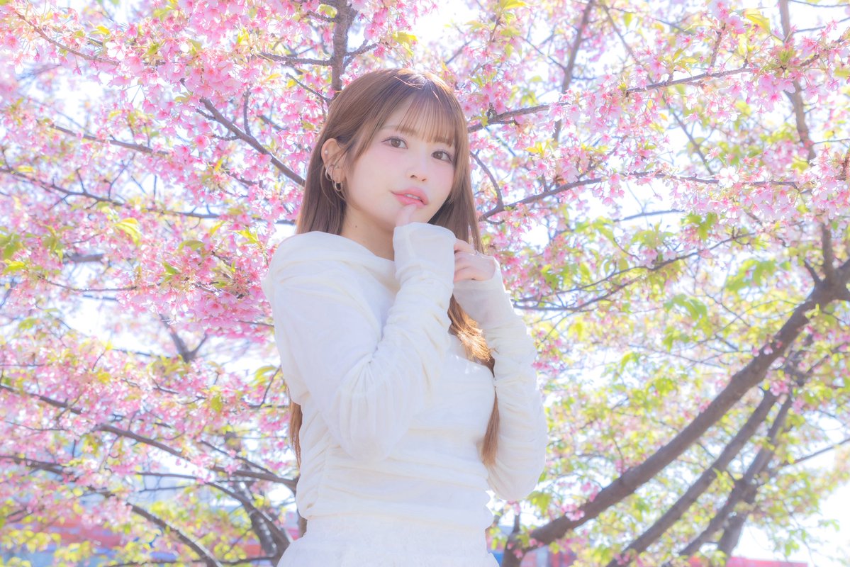 織田真実那🍡 tweet media