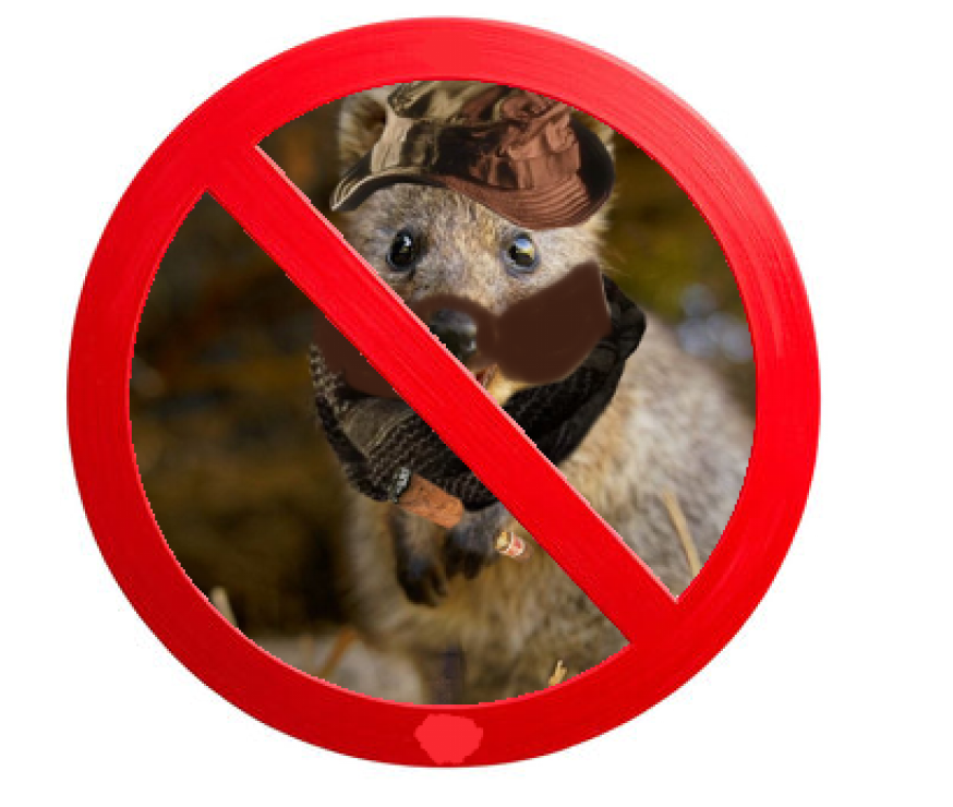 Deaf David tweet media