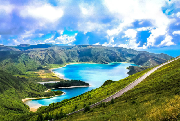 CAMISAS PALESTRA ℗ tweet media