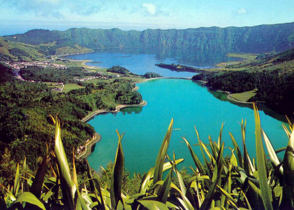 CAMISAS PALESTRA ℗ tweet media