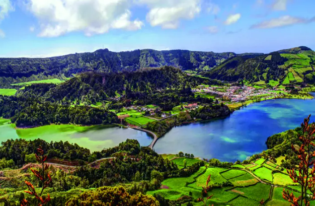 CAMISAS PALESTRA ℗ tweet media