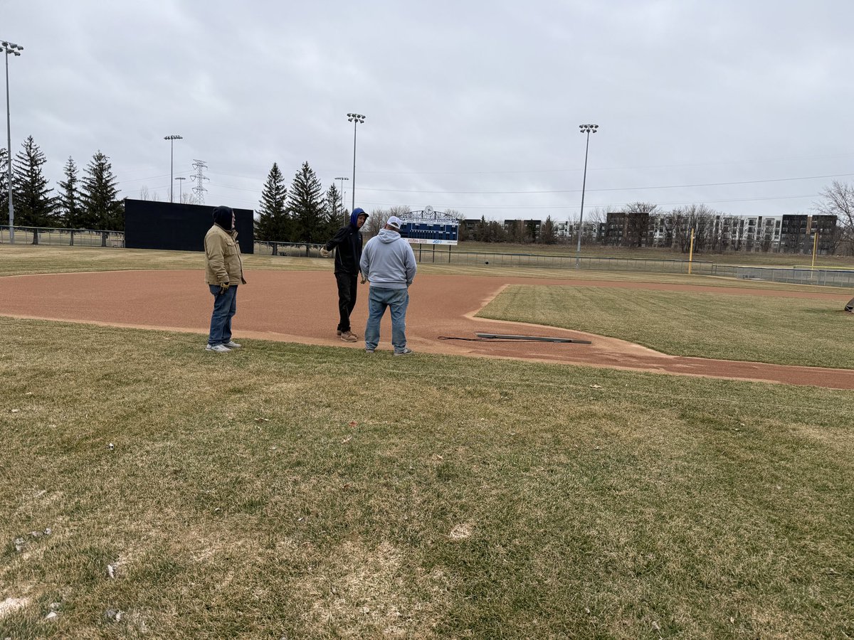 “The Joe” tweet media