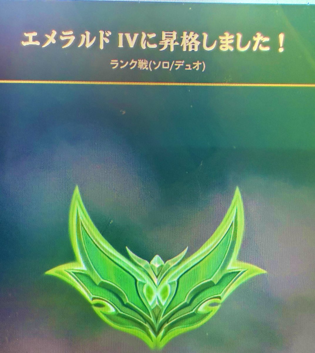 みゆ🐰🗝️ tweet media