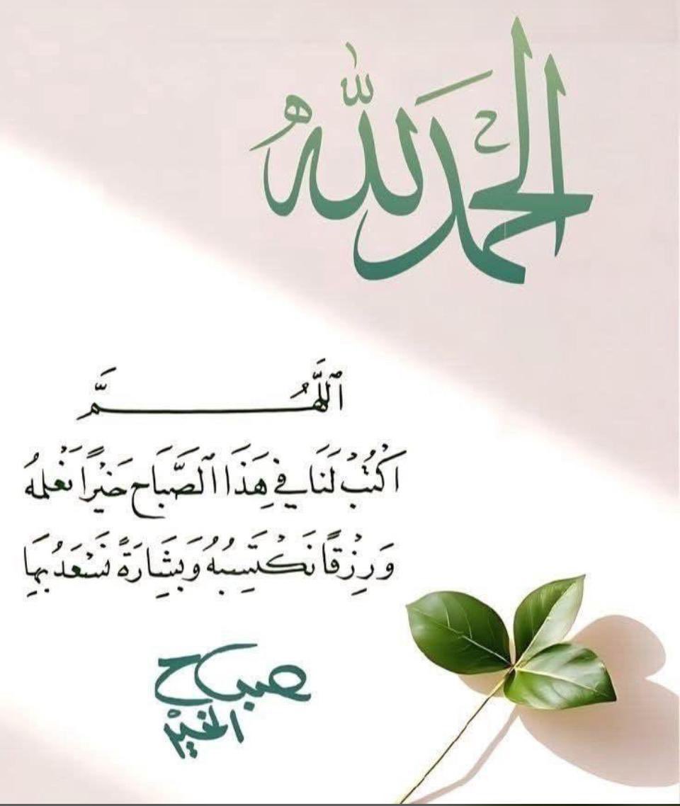 د. علي القتبي tweet media