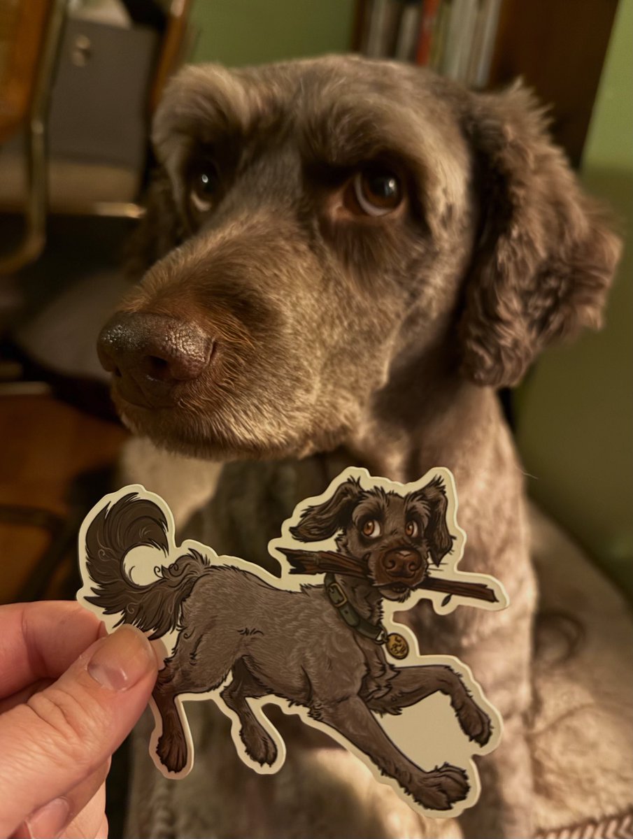 Kuna 🍂 tweet media