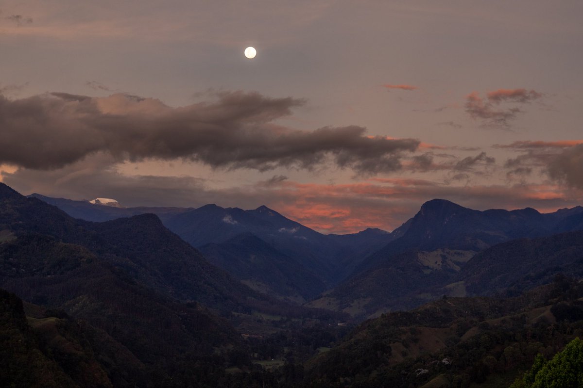 augustoserna's tweet photo. Valle del Cocora, Nevado del Tolima, luna llena y atardecer desde Salento - Quindío https://t.co/qz488Hzy1p