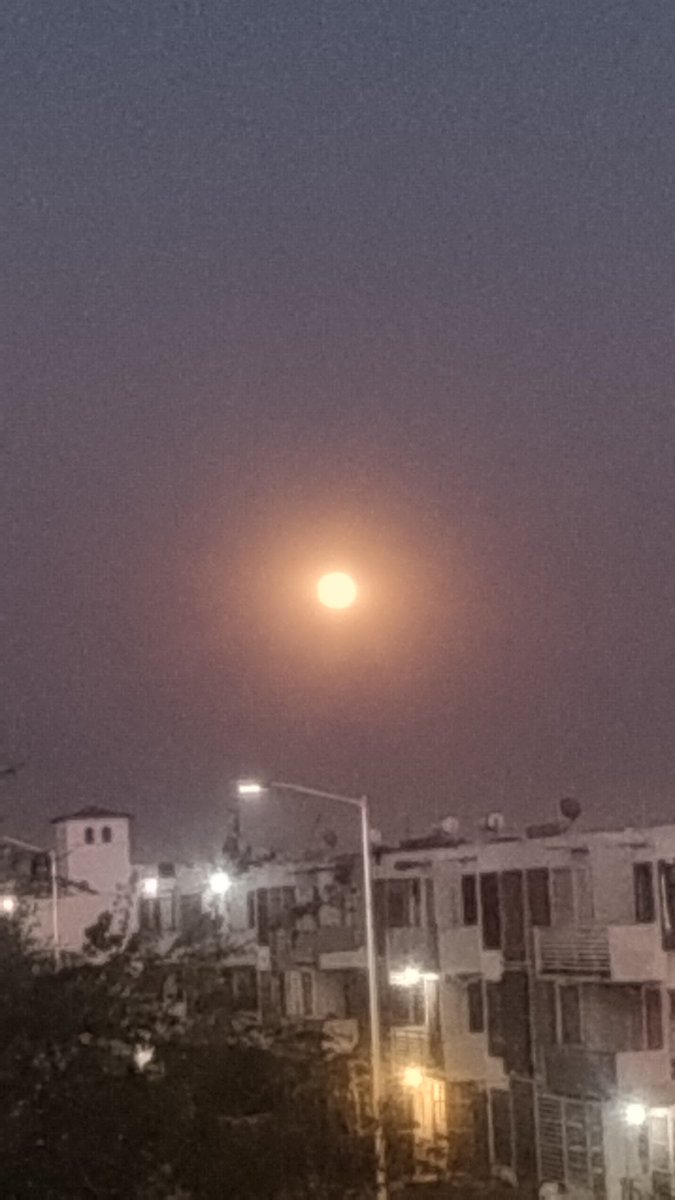 La hermosura que me acompañará esta noche