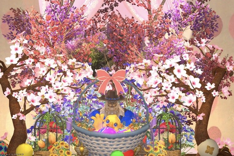 ☆ス〜☆🔰Su- San🔰 tweet media