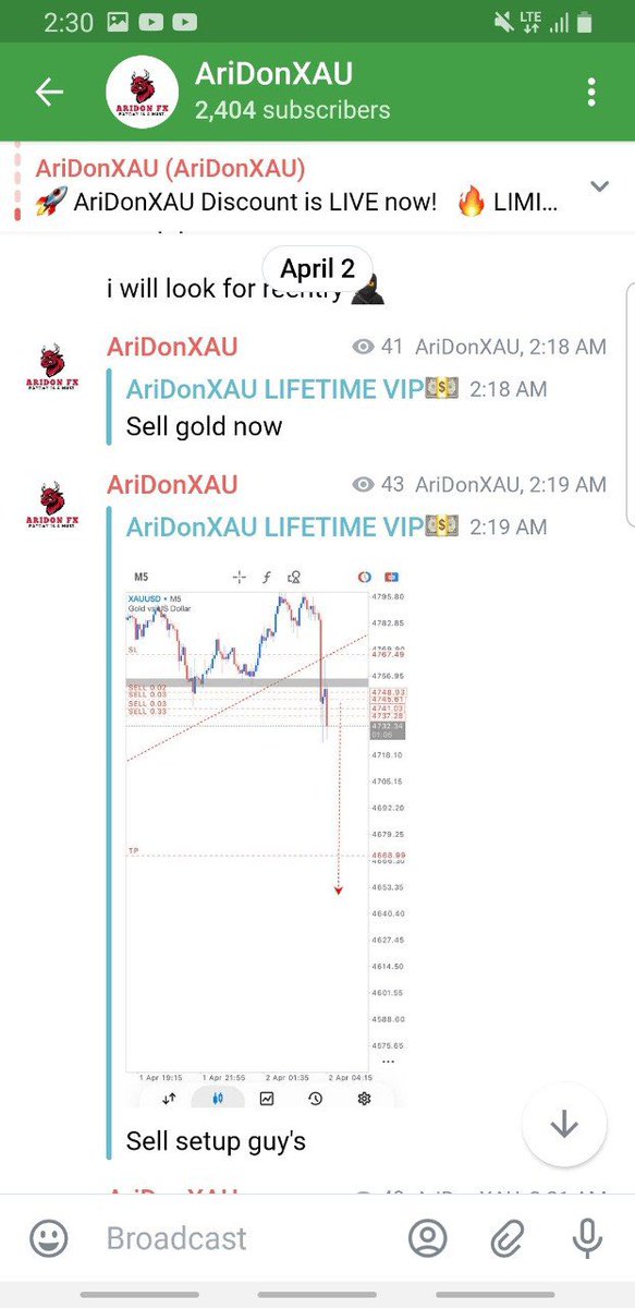 AriDonXAU tweet media