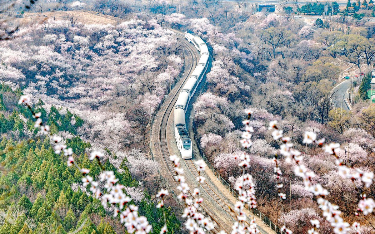 锤锤（互fo互赞💯） tweet media