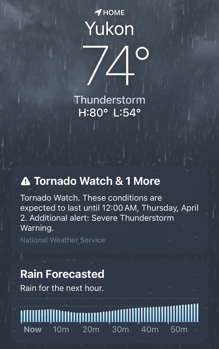 Rose 🌹 tweet media