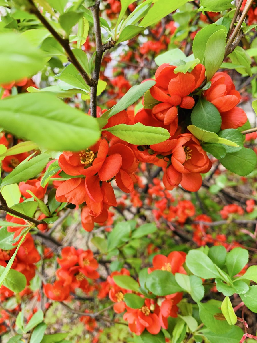 김희숙 tweet media