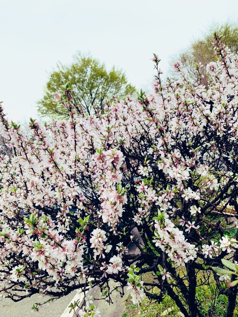 김희숙 tweet media