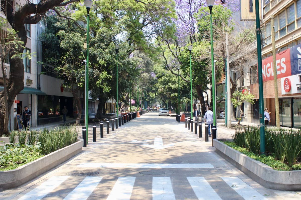 MetropolisCDMX's tweet image. El equipo de #Metrópolis, encabezado por nuestro secretario @PabloYanesRizo , supervisó los avances del Plan Maestro Zona Rosa, que busca recuperar la belleza del barrio, mejorar la seguridad y la experiencia urbana.
🧵 (1/3)