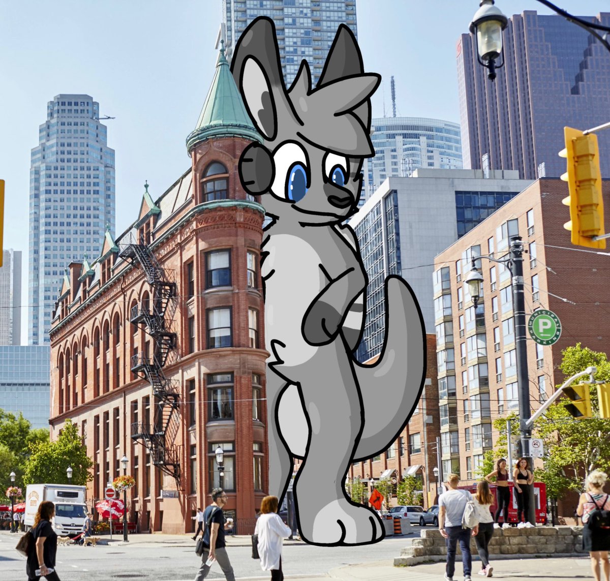 Joey, Kangyroo tweet media