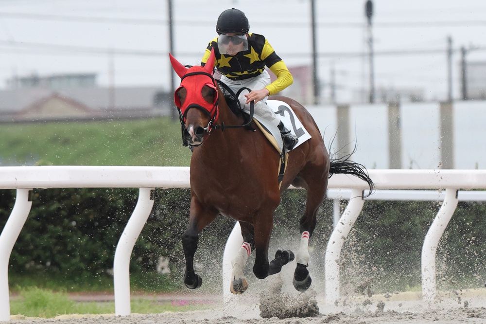 笠松競馬場 tweet media